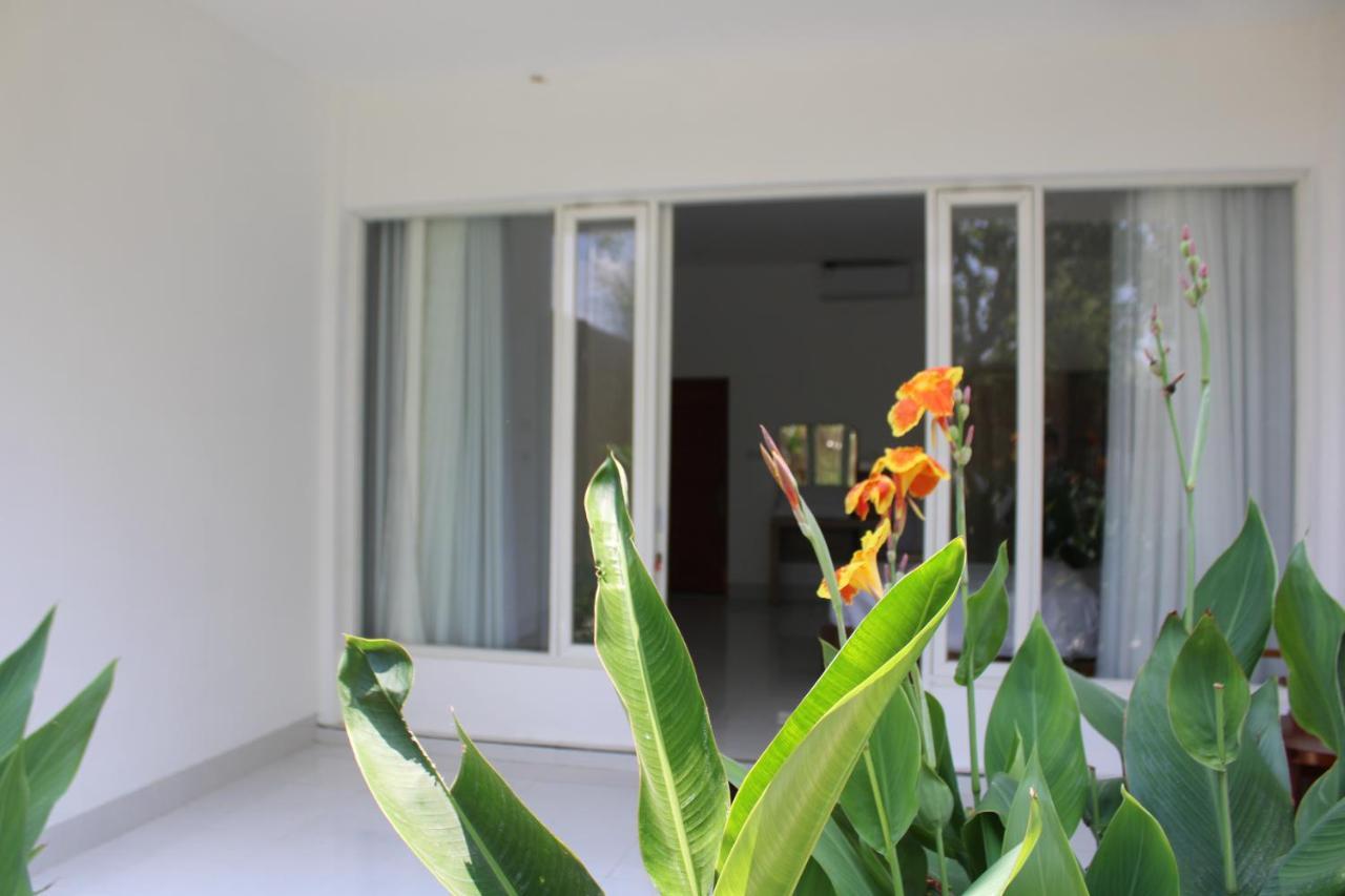 Turtle House Lombok Hotel Kuta  Bagian luar foto